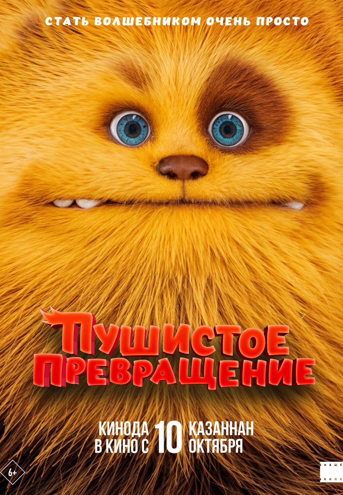 Фильм Пушистое превращение в Кызылорде