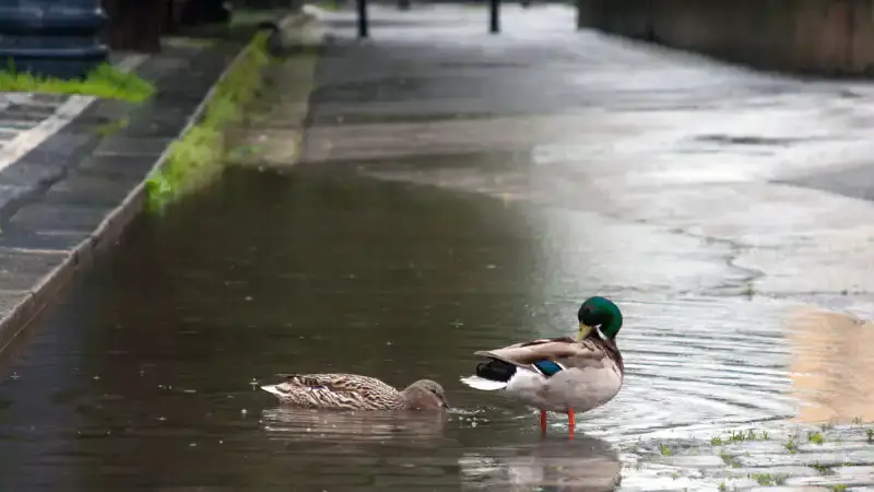 Дожди на подходе: Астана и Алматы готовятся к изменениям погоды в начале июня