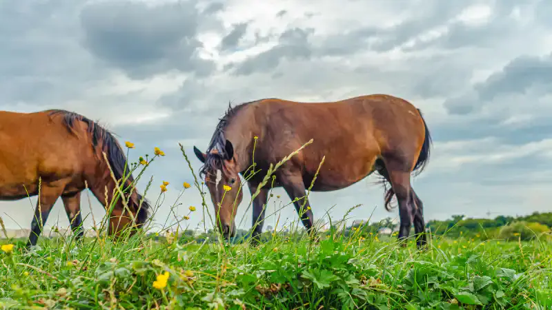 Казахстан: от ледяного дыхания весны к знойному лету за один день