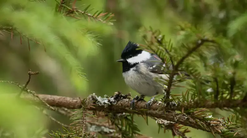 Дожди на подходе: Астана и Алматы готовятся к переменам в погоде