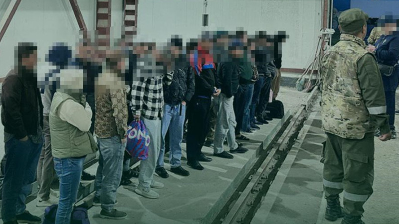 Пограничники нашли 29 спрятавшихся в авто нелегалов