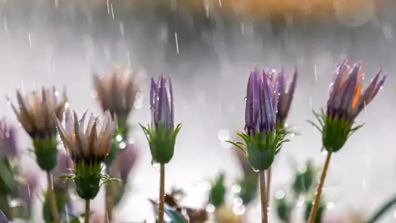 Астана и Алматы готовятся к резкому ухудшению погоды: кратковременные дожди на подходе {city2}