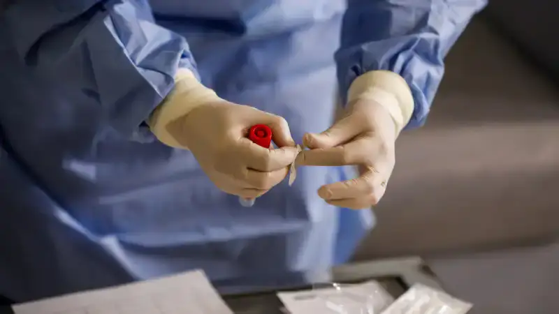 Сибирская язва в Акмолинской области: несколько случаев заболевания в Атбасарском районе подтверждены министром здравоохранения {city2}