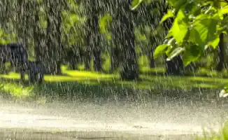 Дождливая неделя: Астана и Алматы ожидают осадки с 12 по 14 июня