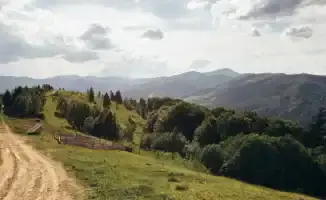 Казахстан в ожидании стихии: грозы и град могут обернуться серьезными последствиями для северных регионов