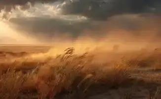 Штормовое предупреждение: Казахстан ожидает грозы, пыльные бури и шквальный ветер 20 июня