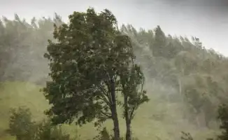 Летнее равноденствие: Казахстан в танце стихии — от зноя до града за один день!