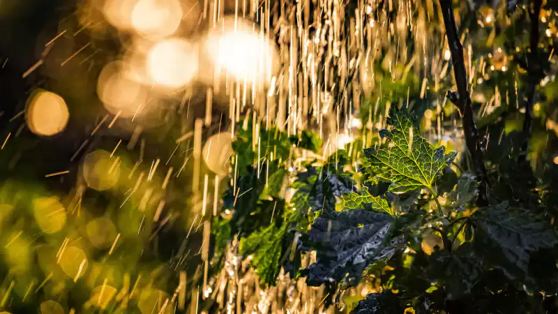 Жаркий юг Казахстана: до +42°C в Алматы 2 июля, в то время как на севере - дожди {city2}