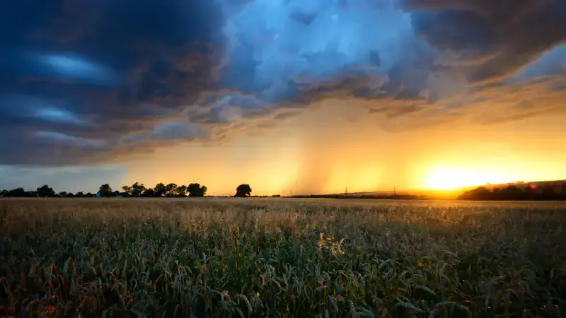 Казахстанцы готовятся к капризам погоды: дожди и грозы ожидают в разных регионах {city2}