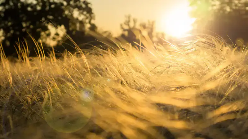 Казахстан в объятиях зноя: жара снова развернёт свои крылья в августе {city2}
