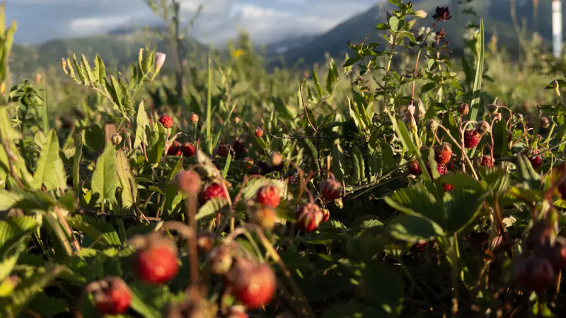 Казахстан: Резкие перепады температуры и сильные погодные явления ожидаются 22 августа {city2}
