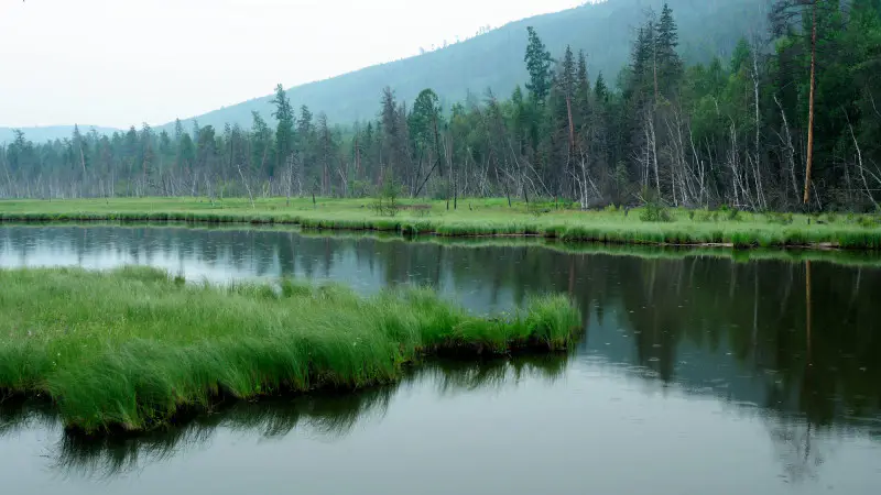 Циклон в Казахстане: резкое похолодание и дожди 28-30 августа от Казгидромета {city2}
