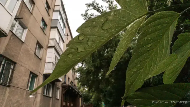 Казахстан в огненном плену: жара и грозы угрожают стабильности и безопасности граждан 6 августа {city2}