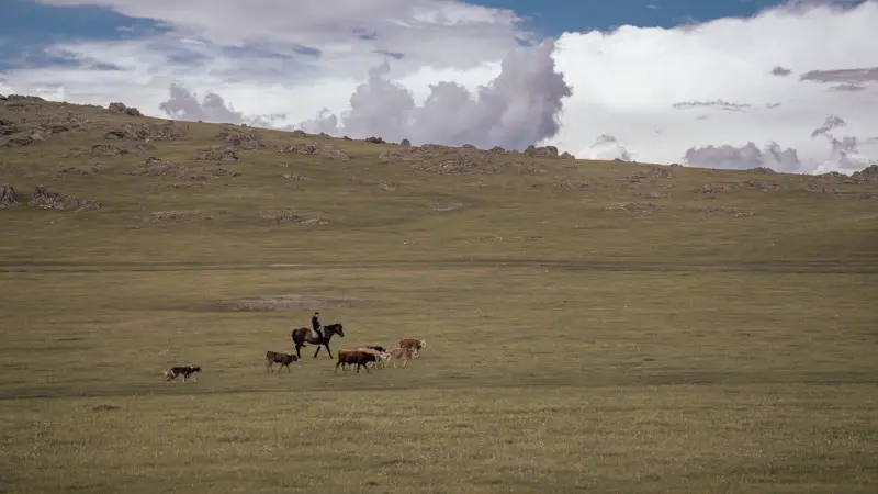 Жара и грозы: Казахстан готовится к погодным контрастам {city2}