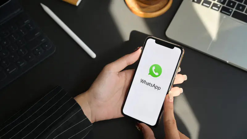 WhatsApp: Непотопляемый корабль в бурном море российских мессенджеров {city2}