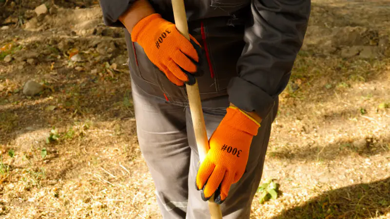 общественные работы