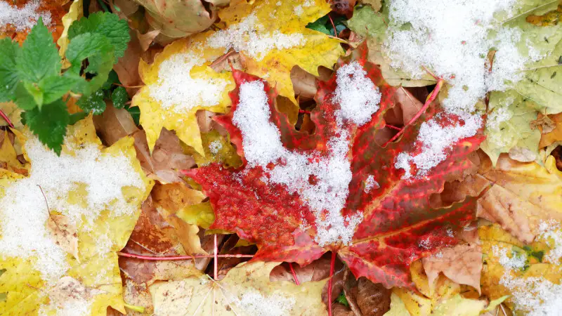 Снег и похолодание в Казахстане: синоптики прогнозируют резкое изменение погоды 20 сентября {city2}