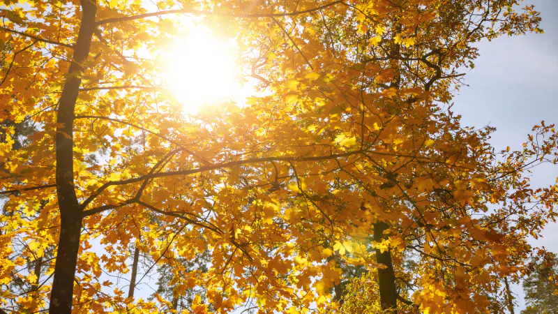 Прогноз погоды в Казахстане: жара до +31 в городах 24 сентября {city2}