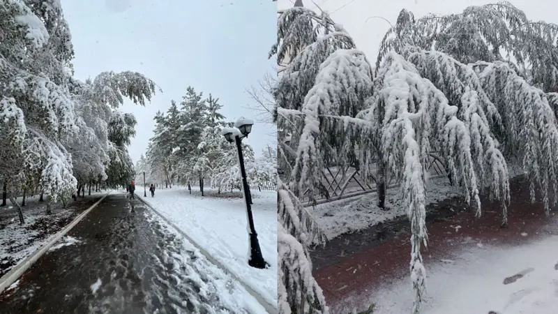 в Казахстане выпал снег