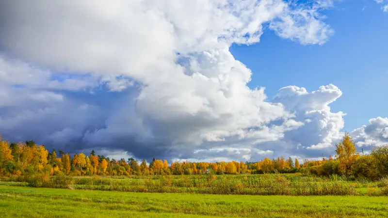 Синоптики Казахстана предупредили о резких температурных контрастах: от -2 до +30 градусов в течение одного дня. {city2}