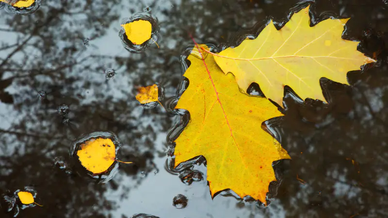 Циклон в Казахстане: небесный художник разливает дождевые краски на фоне резкого похолодания {city2}