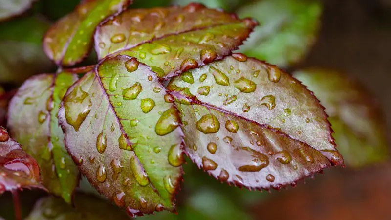 Гроза и холод: Казахстан готовится к погодным сюрпризам {city2}