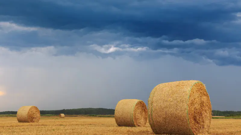 Сильные ветры и грозы в Казахстане: как ухудшение погоды повлияет на повседневную жизнь граждан {city2}