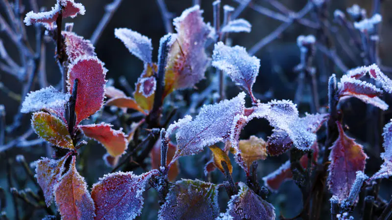Сентябрьский циклон принесет в Казахстане ливни и резкое похолодание, ожидаются негативные последствия для сельского хозяйства и инфраструктуры {city2}