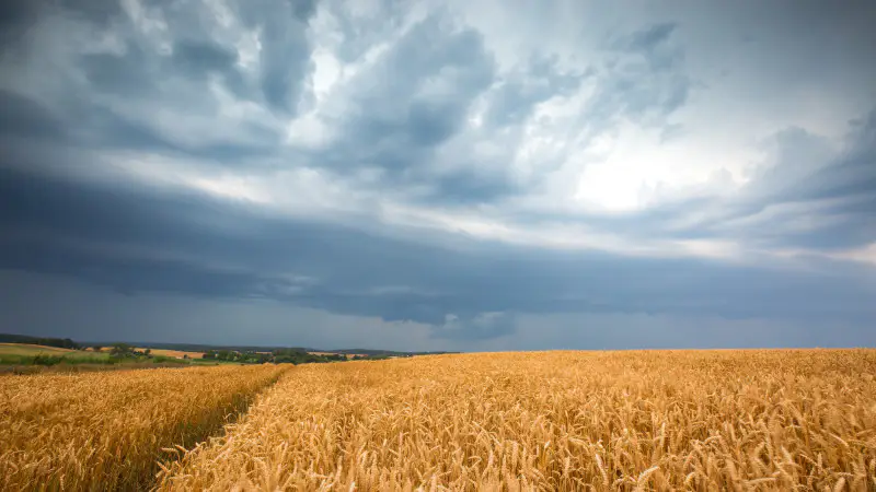 Казахстан под натиском стихии: сильный ветер и грозы готовят бурю в небесах 18 сентября {city2}