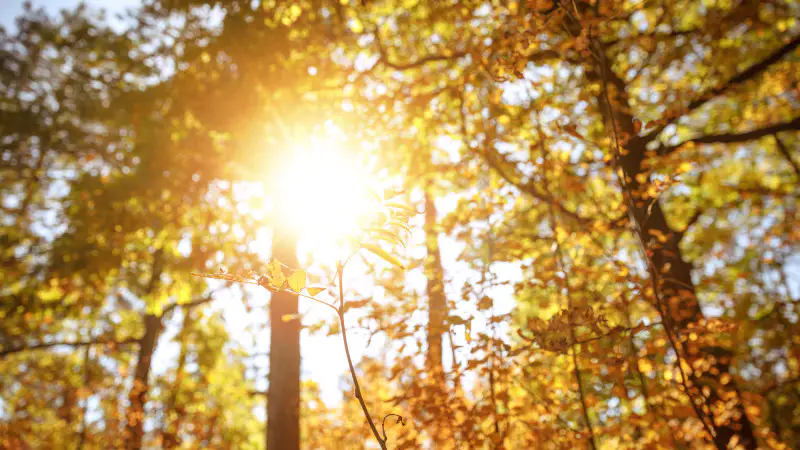 Тепло вернется в Казахстан: синоптики прогнозируют повышение температуры и улучшение погодных условий на выходных {city2}