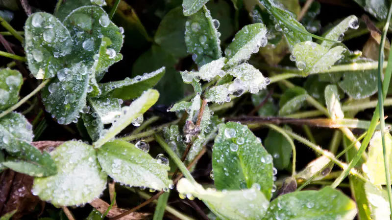 Заморозки и дожди: Казахстан готовится к погодным сюрпризам {city2}