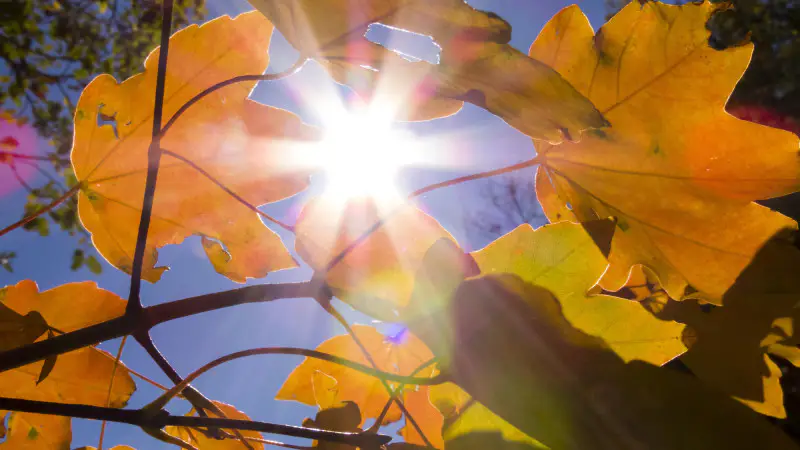 Казахстанцы готовятся к жаре: температура в некоторых регионах поднимется до +37°C в субботу, 6 сентября {city2}