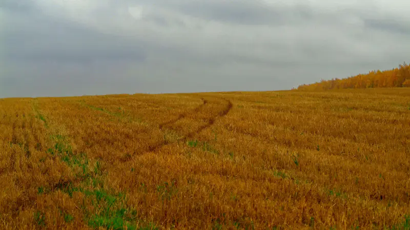 От жары к грозам: Казахстан ждет погодный сюрприз {city2}