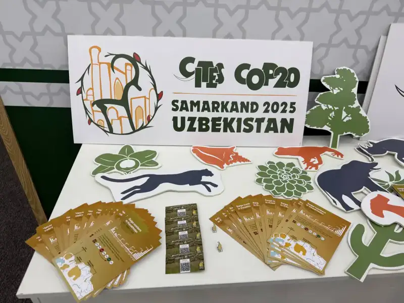 В Самарканде открылась 20-я конференция СИТЕС (7)