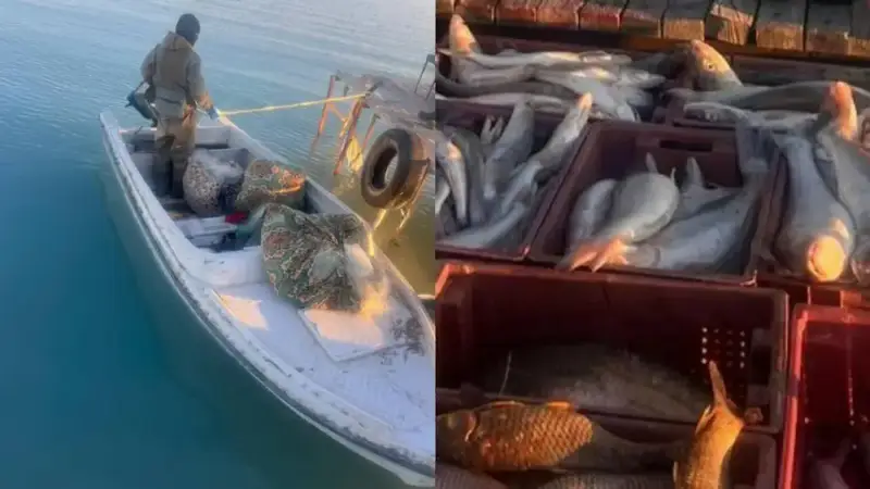 Браконьеры задержаны на озере Балхаш {city2}