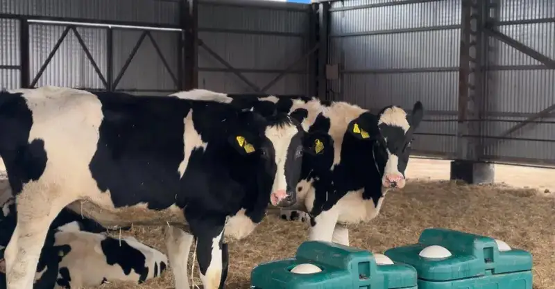 15 млрд тенге на поддержку сельского хозяйства в Актюбинске {city2}