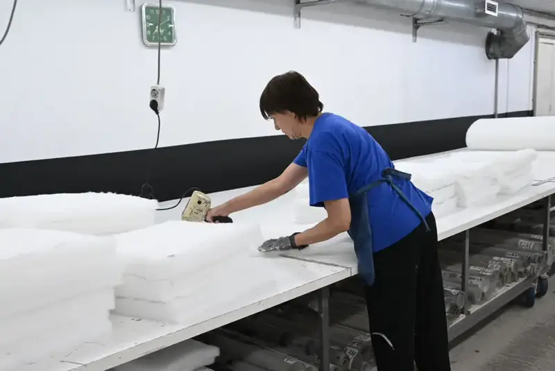 Создание почти 7 тысяч рабочих мест в Наурызбайском районе Алматы: влияние на экономику и социальную сферу {city2}