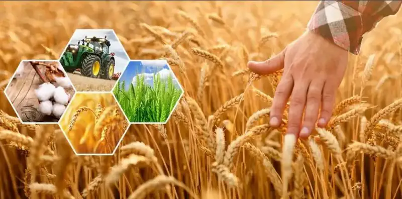 Актюбинская область: сельхозпродукция на 296,8 млрд тенге {city2}