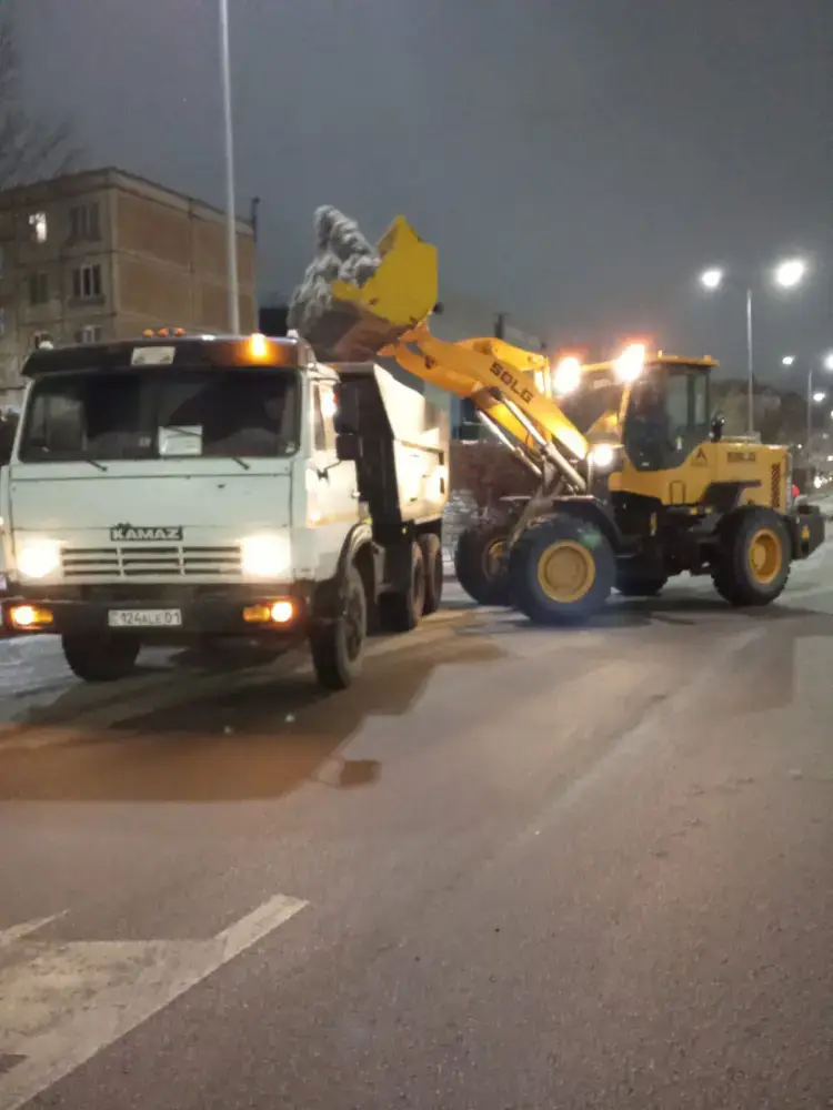 Международная помощь в борьбе с зимними стихиями: Астана mobilизует более тысячи единиц спецтехники для снегоуборки {city2}