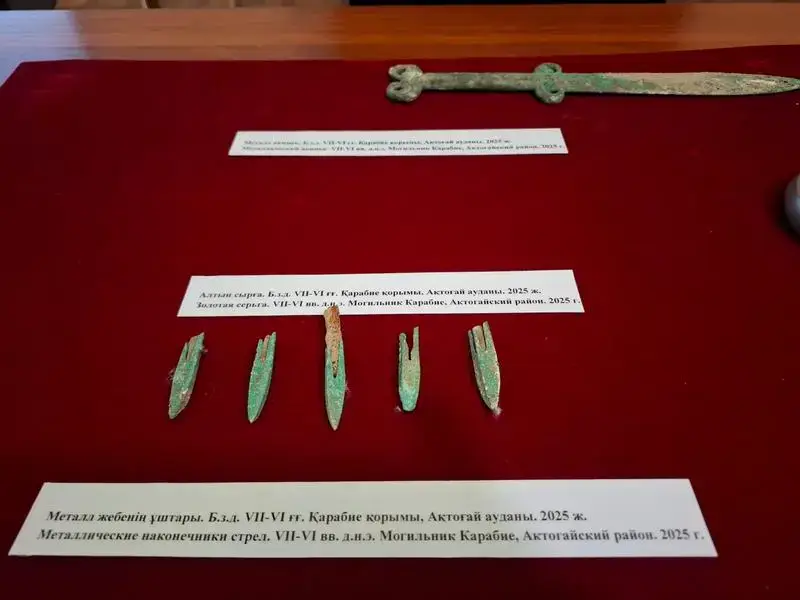 Карагандинские археологи нашли нетронутое погребение сакского воина (5)