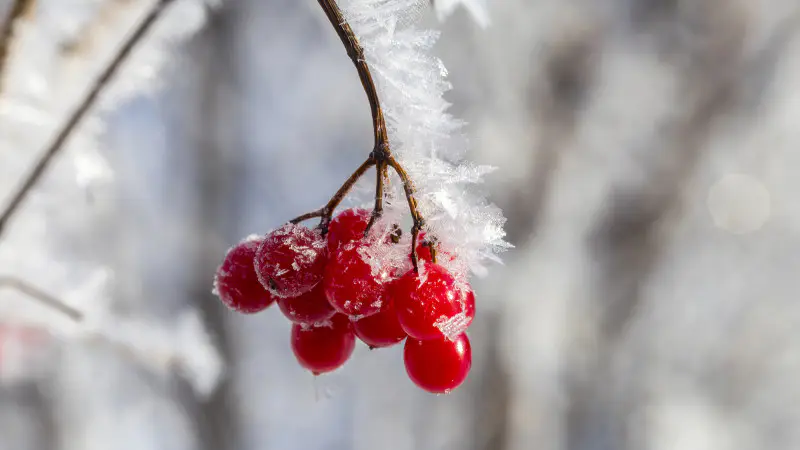 Синоптики Казгидромета предупреждают о сильных морозах: температура в Казахстане опустится до -20 градусов {city2}