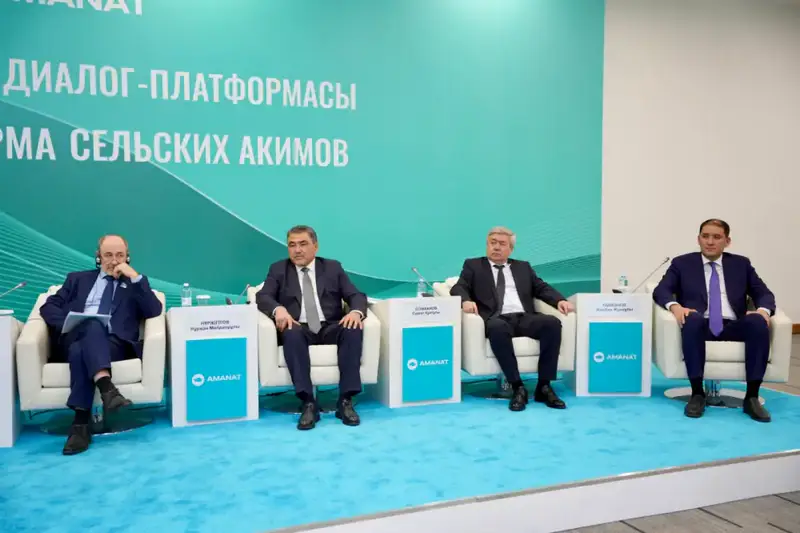 Энергетический ребус: Казахстан раскроет 79 тысяч км электросетей для сельских просторов {city2}