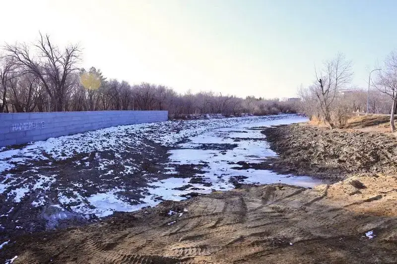 Лесная симфония: Карагандинский парк наполнился новыми голосами природы {city2}