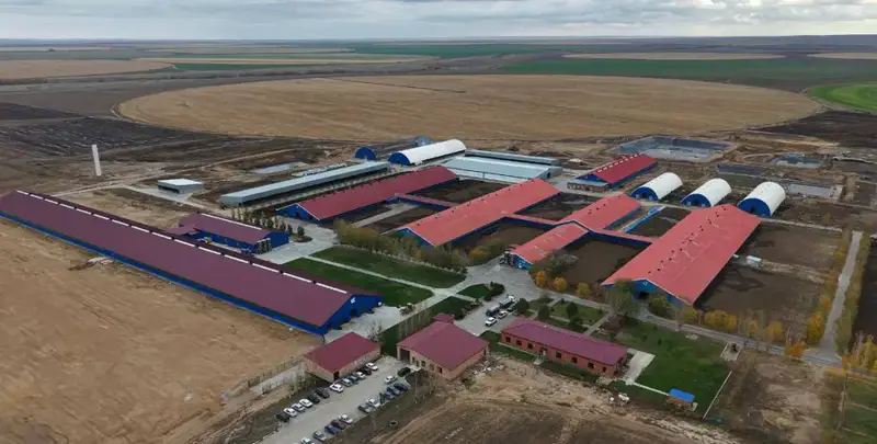 В 2025 году на государственную поддержку сельского хозяйства Актюбинской области направлено 15 млрд тенге (2)