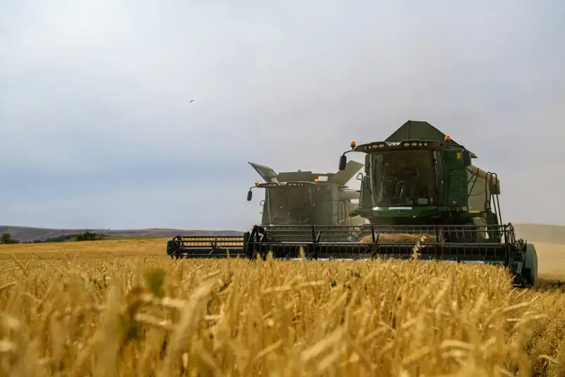 Рост переработки сельхозпродукции в Жетісу: новые возможности для местной экономики {city2}