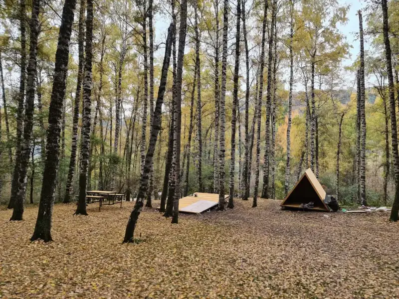 Рост туризма в Алматы увеличение международного потока и маркетинговые кампании {city2}