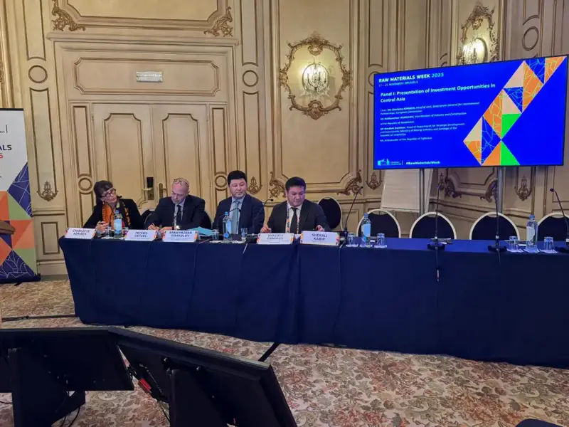 Сотрудничество в сфере редких и редкоземельных металлов: в Брюсселе состоялась Raw Materials Week (4)