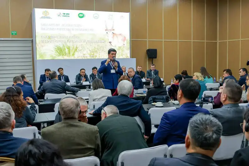 Сайгак в центре внимания: как сохранить экосистему в условиях растущей численности {city2}