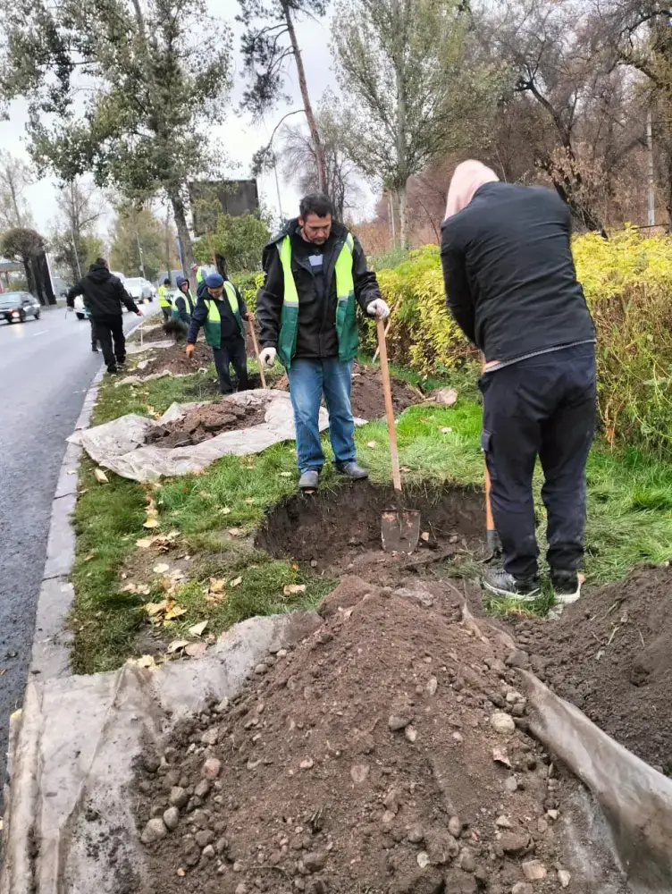 Турксибский район Алматы: зелёный щит города с более чем 772 тыс. деревьев и новыми живописными улицами {city2}