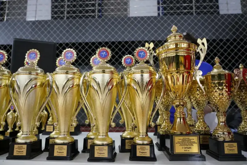 Кубок Казахстана по бочча завершился в Астане с участием 120 параспортсменов {city2}